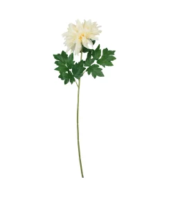 Single Dahlia Assorted 65cm