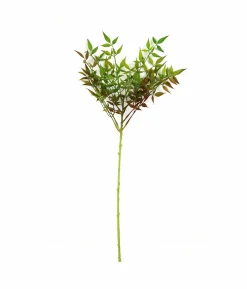Single Leaf 70cm #5