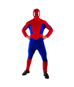 Spider Hero