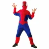 Spider Hero Child