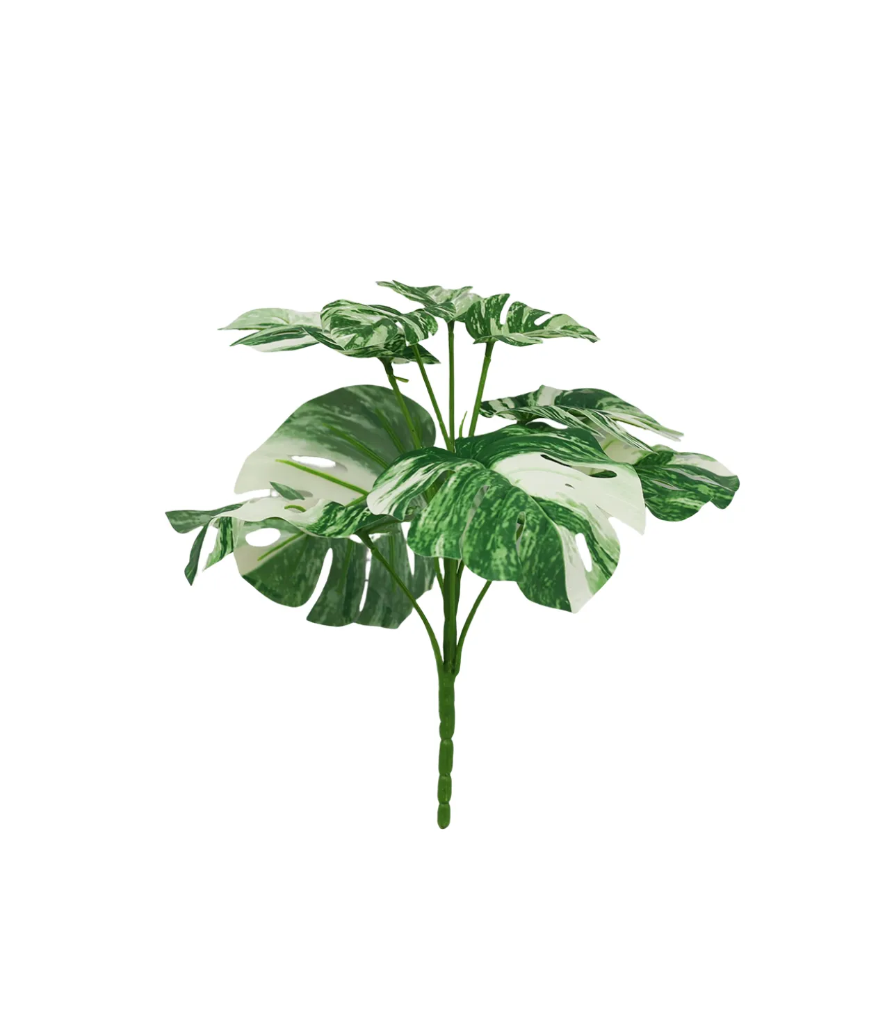 Striated Monstera 9 Head 28cm