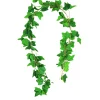 Sweet Potato Vine 200cm