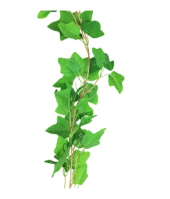 Sweet Potato Vine 200cm