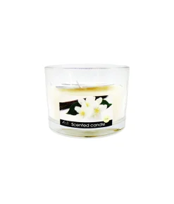 Vanilla Scented Candle
