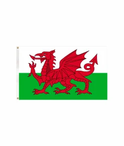 Wales Flag 90x150cm