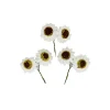 White Artificial Craft Sunflower 6pc 5cm