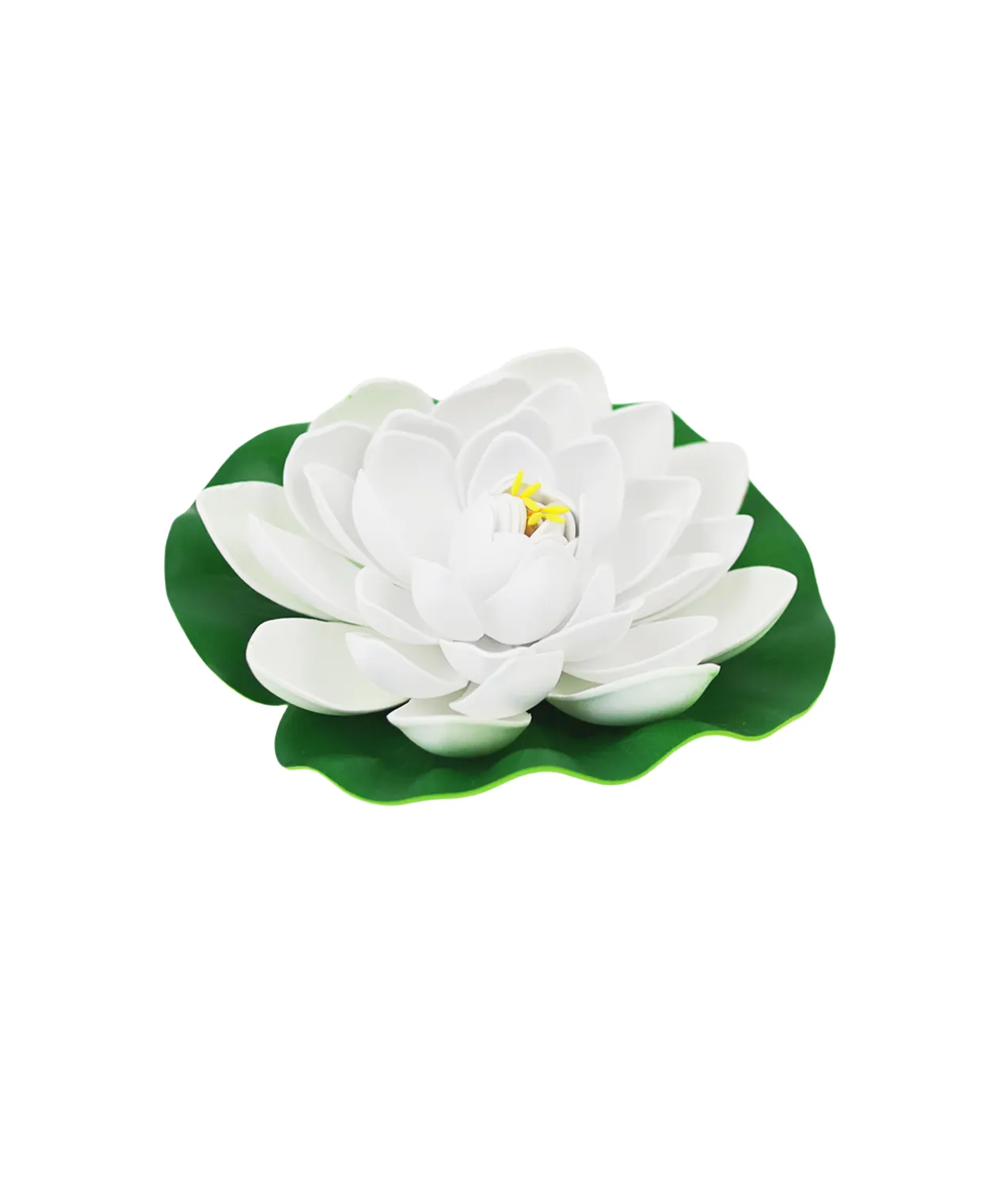 White Floating Water Lily 18cm