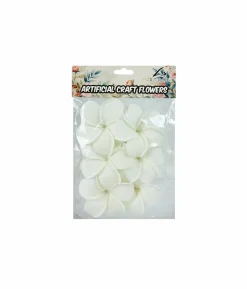 White Frangipani 6cm 6pc