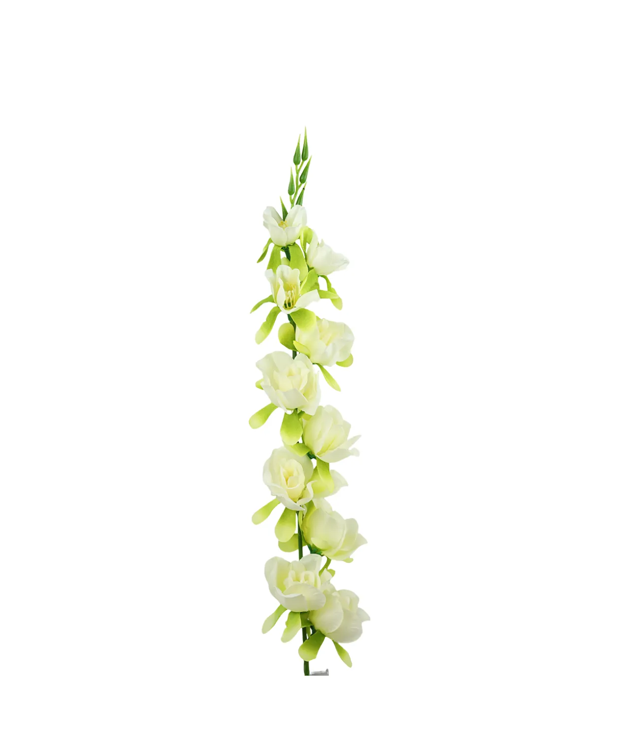 White Gladiolus Bush Flower 7 Head 77cm