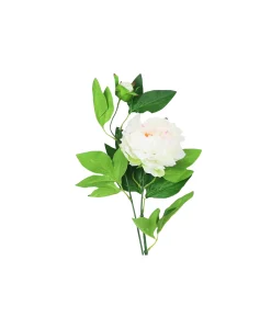 White Green Tea Peony 74cm