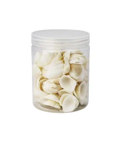 White Natural Sea Shells 300g