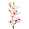 White Orchid With Pink Stamen 71cm