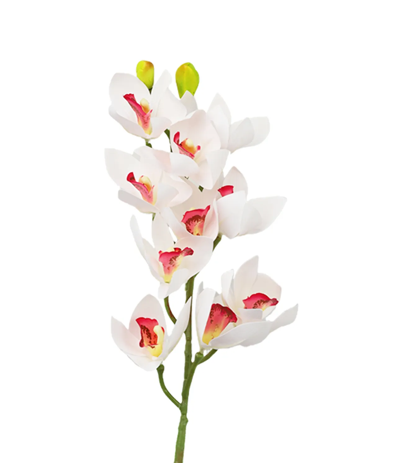 White Orchid With Pink Stamen 71cm