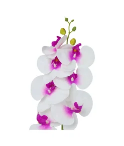 White Orchid With Purple Stamen 88cm