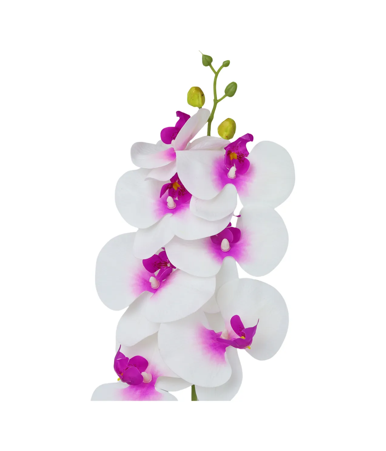 White Orchid With Purple Stamen 88cm