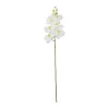 White Orchid With Yellow Stamen 88cm
