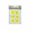 White & Yellow Frangipani 8cm 6pc