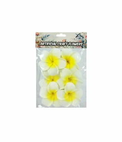 White & Yellow Frangipani 6cm 6pc